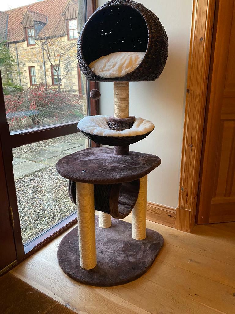 hillary high sleeper cat post